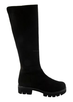 Cervone Cervone 2402